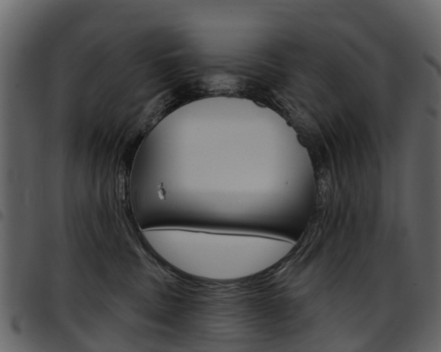 X0000097650379200802290852