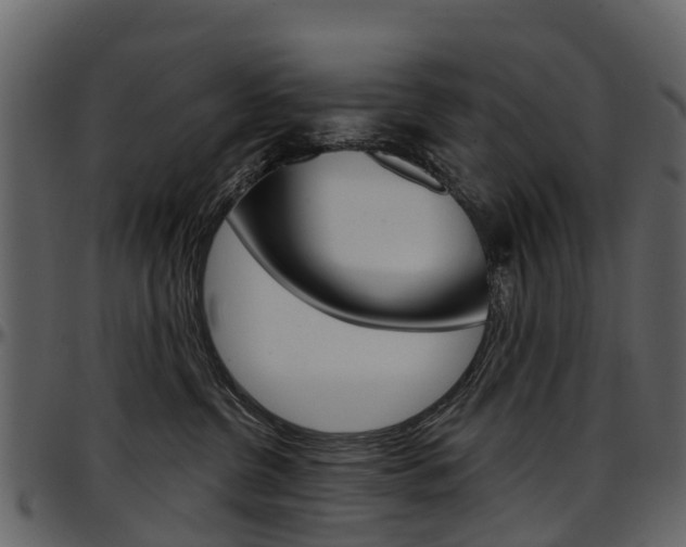 X0000097650380200802290852