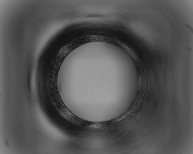 X0000097650381200802290852