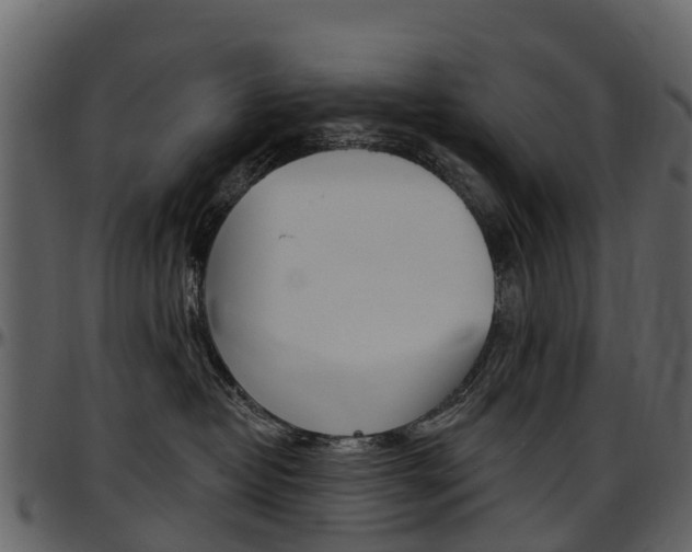 X0000097650382200802290852