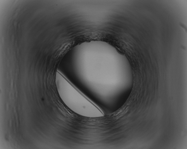 X0000097650384200802290852