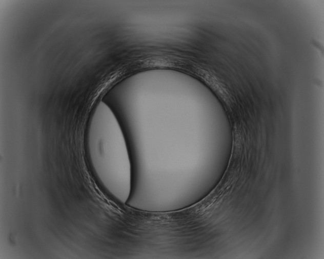 X0000097650386200802290852