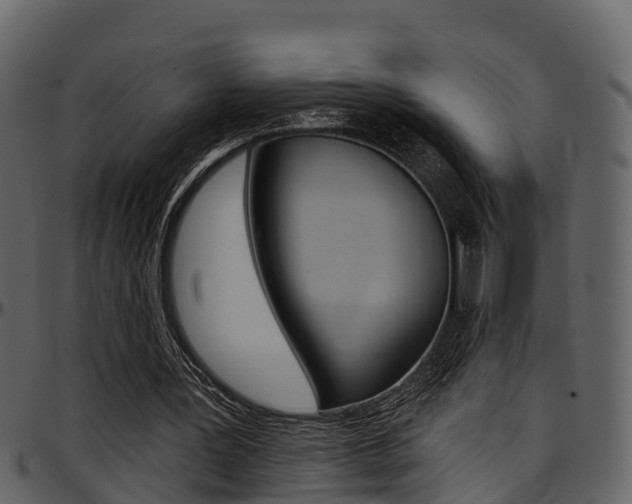 X0000097650387200802290852