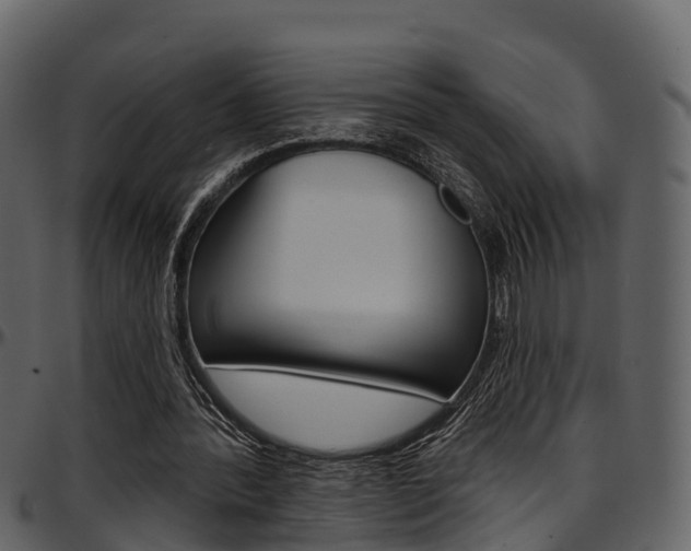 X0000097650388200802290852