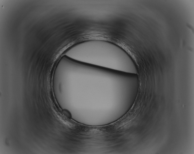 X0000097650390200802290852