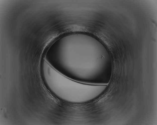 X0000097650391200802290852