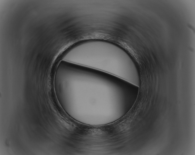X0000097650392200802290852