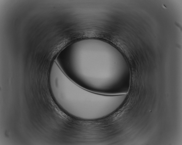 X0000097650393200802290852