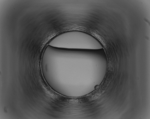 X0000097650394200802290852