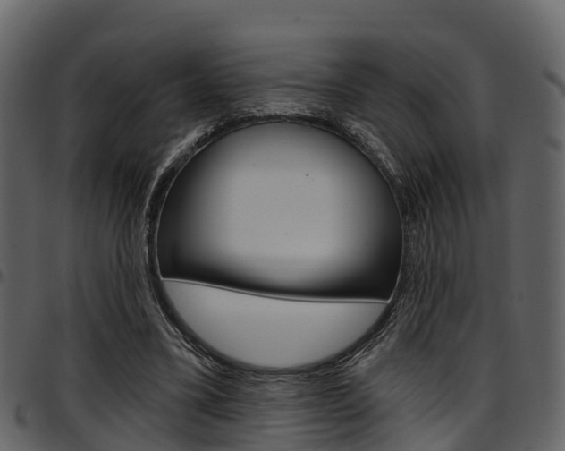 X0000097650395200802290852
