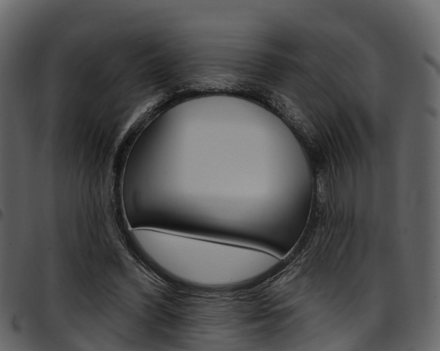 X0000097650396200802290852