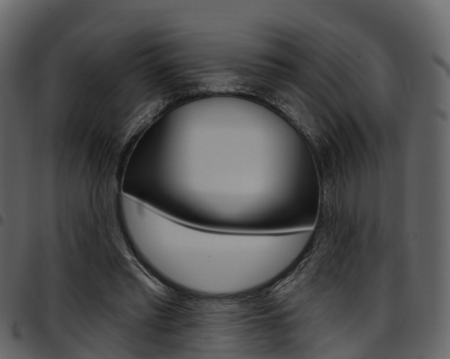 X0000097650397200802290852