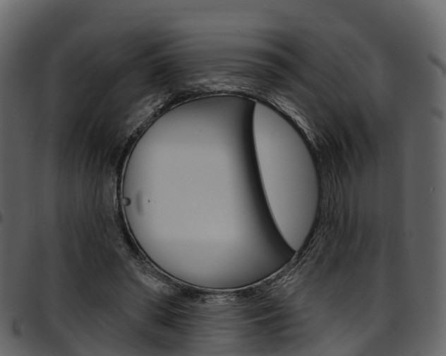 X0000097650398200802290852