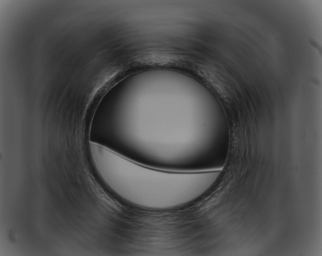 X0000097650399200802290852