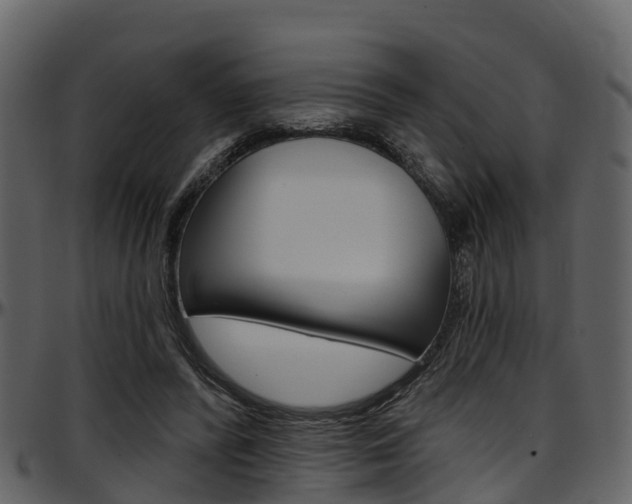 X0000097650400200802290852