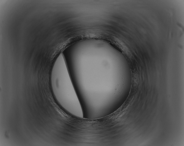 X0000097650401200802290852