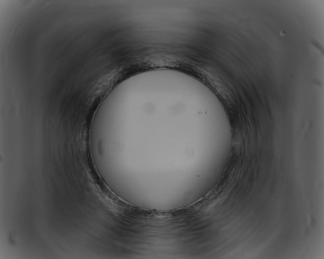 X0000097650402200802290851