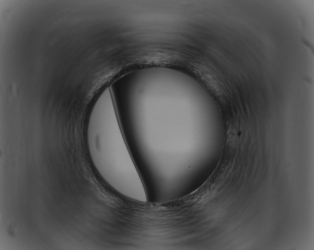 X0000097650403200802290851