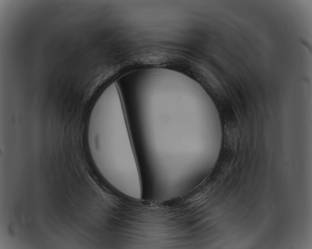 X0000097650404200802290851