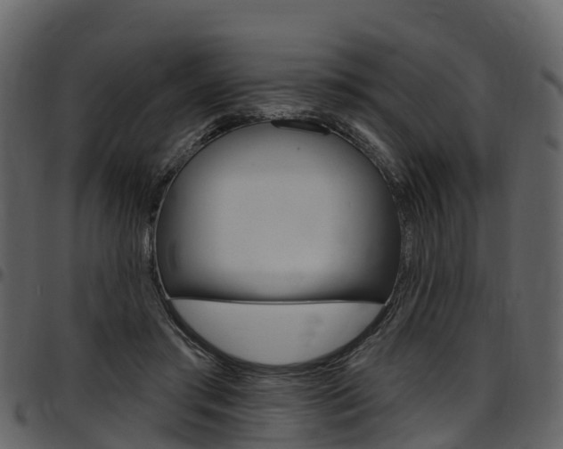 X0000097650405200802290851