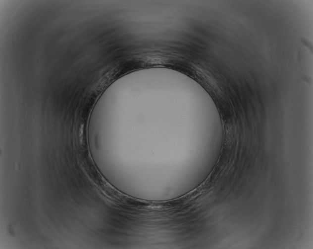 X0000097650406200802290851