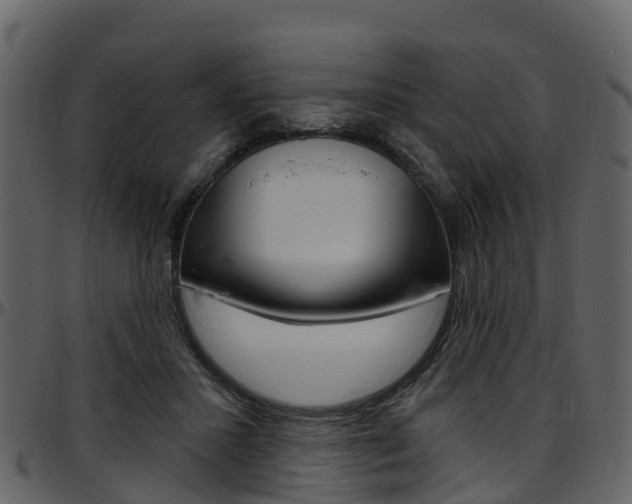 X0000097650407200802290851