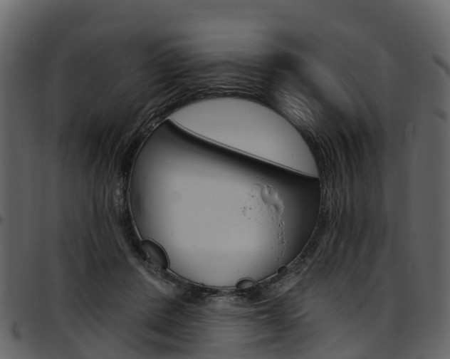 X0000097650408200802290851