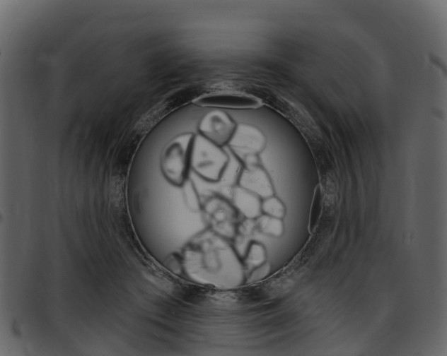 X0000097650409200802290851
