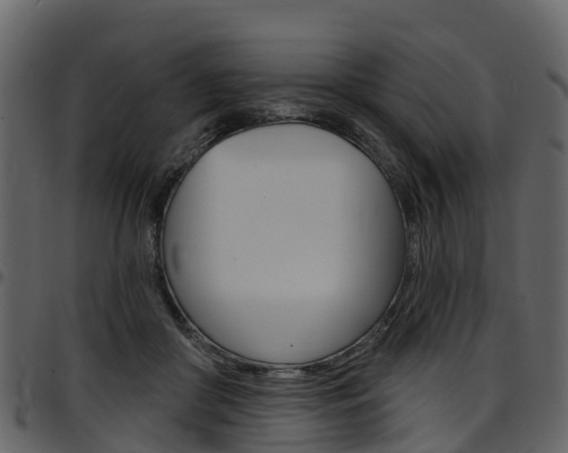 X0000097650410200802290851