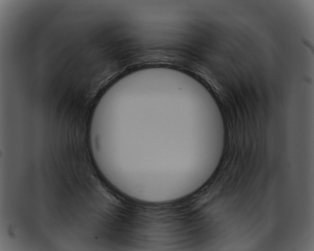 X0000097650411200802290851