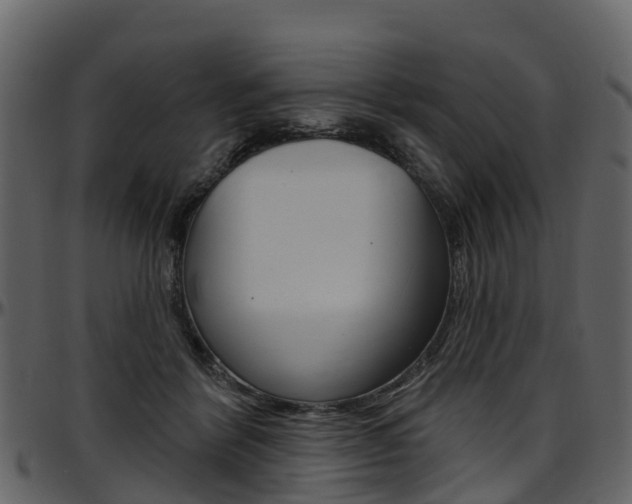 X0000097650412200802290851