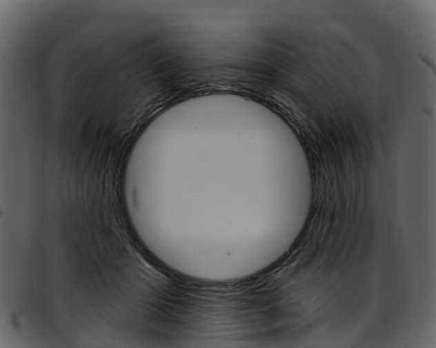X0000097650414200802290851