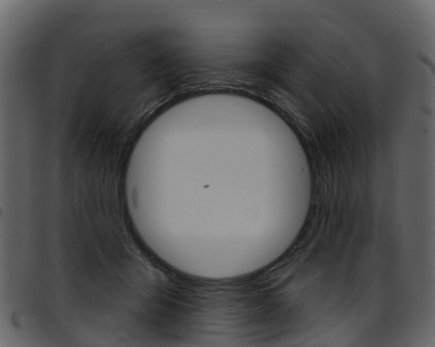 X0000097650415200802290851
