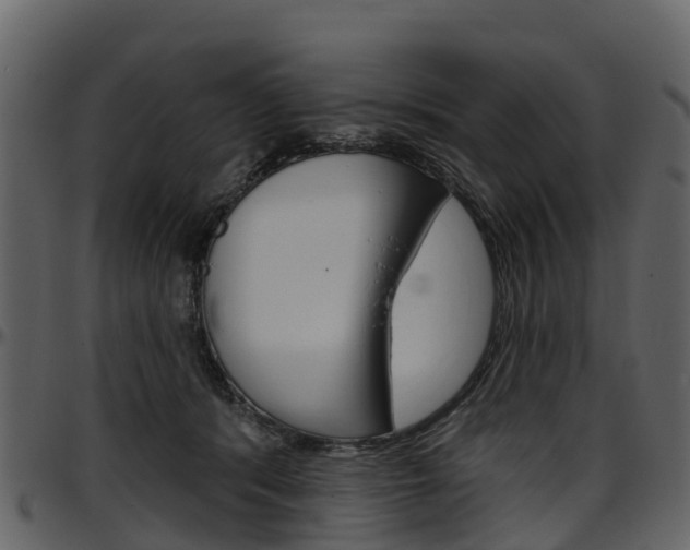 X0000097650416200802290851