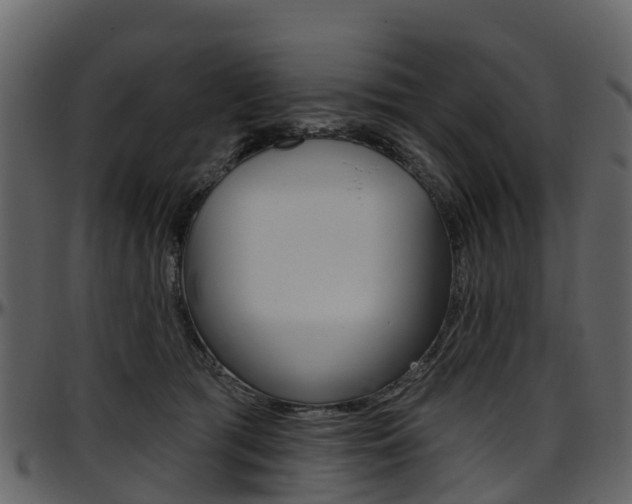 X0000097650417200802290851
