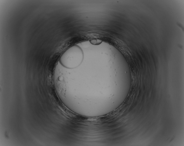 X0000097650418200802290851