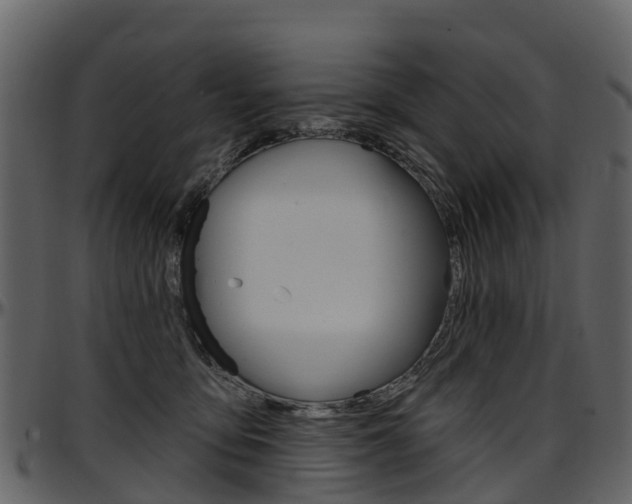 X0000097650419200802290851