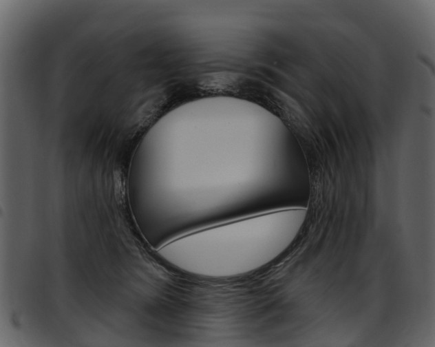 X0000097650420200802290851