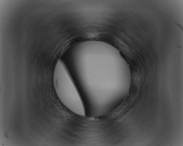 X0000097650421200802290851