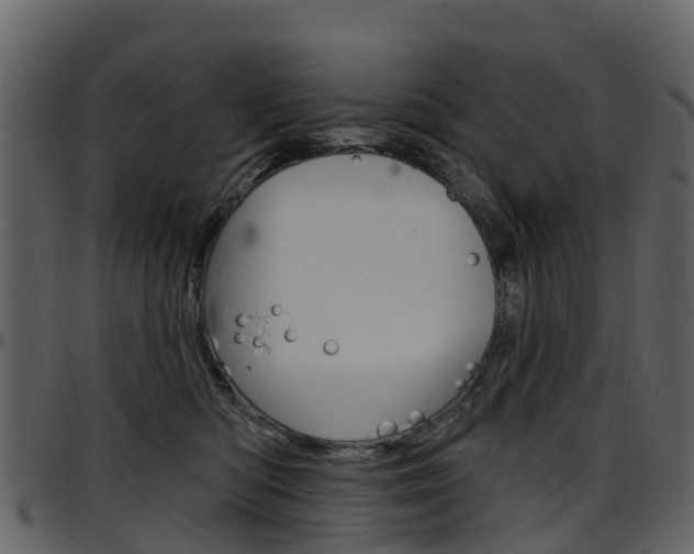 X0000097650422200802290851