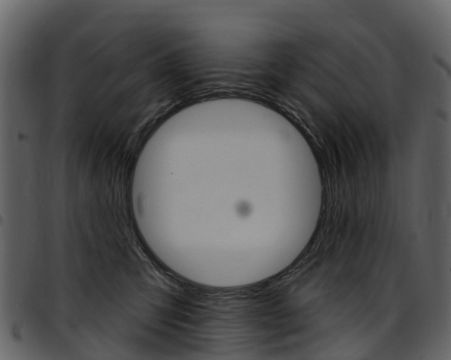 X0000097650423200802290851