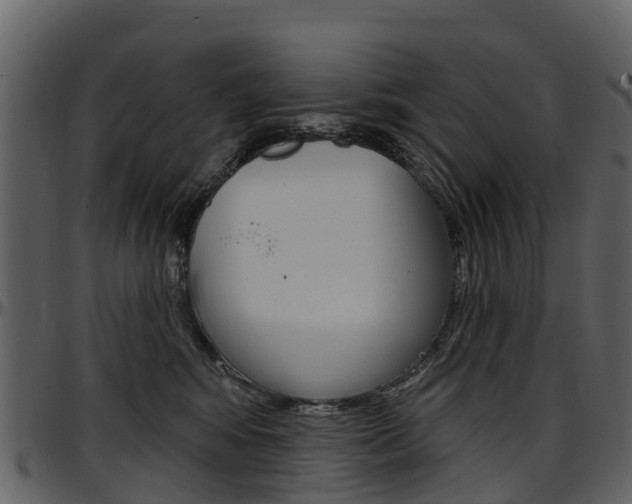 X0000097650424200802290851