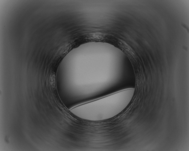 X0000097650425200802290851