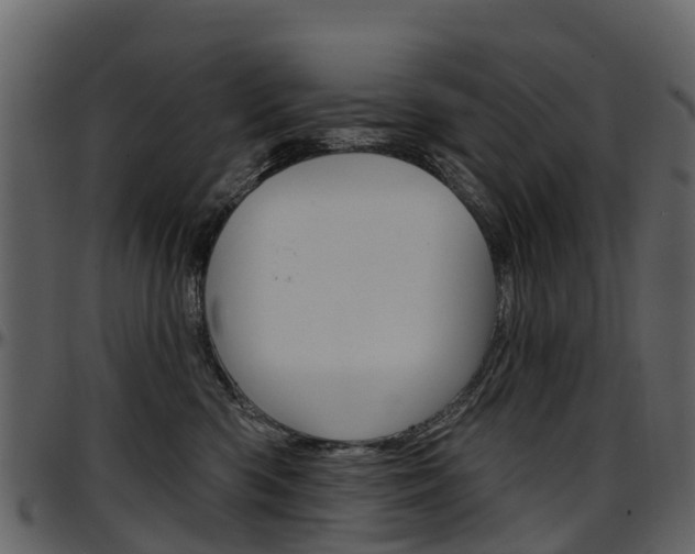 X0000097650426200802290851