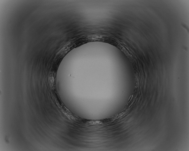 X0000097650427200802290851