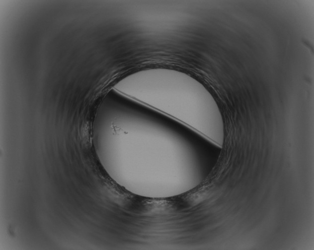 X0000097650428200802290851