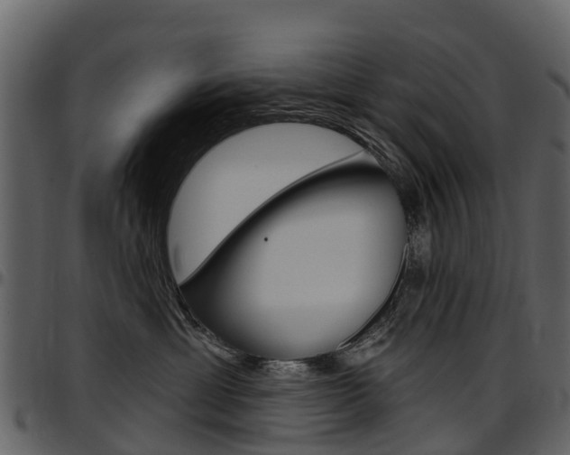 X0000097650429200802290851