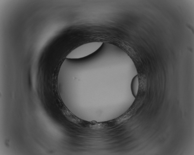 X0000097650430200802290851