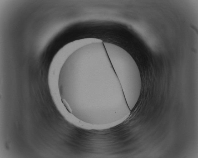 X0000097650431200802290851