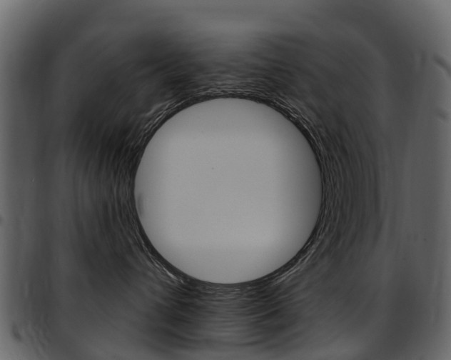 X0000097650432200802290851